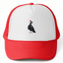 Pigeon Santa Hat