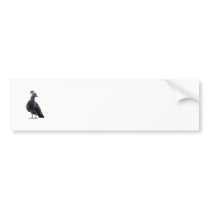 Pigeon Santa Hat Bumper Sticker