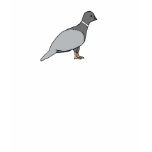Pigeon Shirt