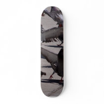 Pigeon skateboards