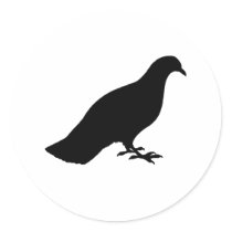 Pigeon stickers