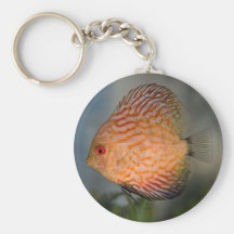 Pigeon Stone Discus Keyring Key Chains