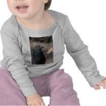 pigeon tee shirt