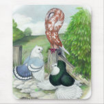 Pigeon Trio mousepads
