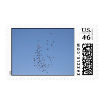 Pigeons #23 postage by jtorrens Pigeons #23 postage