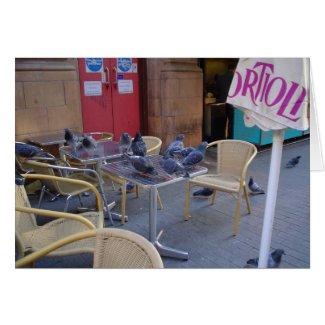 Pigeons at Lunch zazzle_card