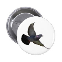 Pigeons Button
