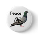 Pigeons for Peace buttons