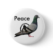 Pigeons for Peace buttons by localpigeon Pigeons for Peace buttons