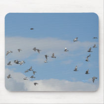 Pigeons in Flight mousepad   © Angel Honey, 2009