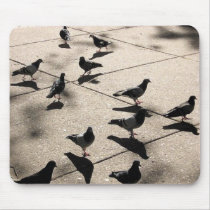 Pigeons In The Square mousepads
