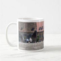 Pigeons in town mugs