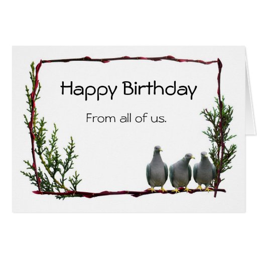 Pigeons on Twig Birthday Card | Zazzle
