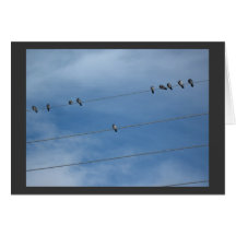 pigeons resting card