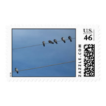 pigeons resting stamp
