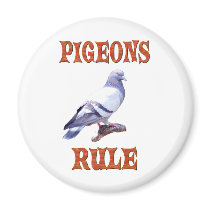 Pigeons Rule magnets