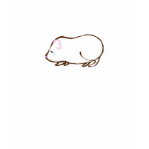 pigge is sad tshirt
