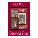 Piggie Nation posters