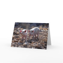 Piggies cards