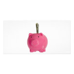 Piggy bank with money photo cards