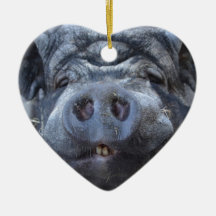 Piggy Christmas Tree Ornament