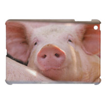Piggy iPad Mini Case