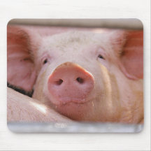 Piggy Mousepad