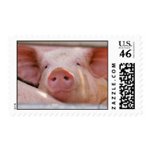 Piggy Postage Stamps