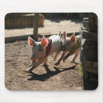 Piggy Race! mousepads by AAAAG0 Piggy Race! mousepads