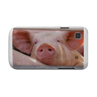 Piggy Samsung Galaxy Case