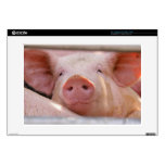 Piggy Skin For Laptop