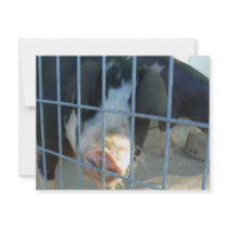 Piggy snout invitations
