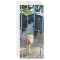 Piggy snout rack card template