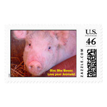 Piggy Stamp