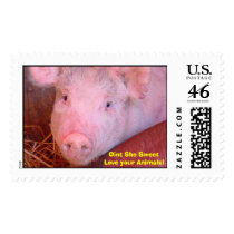 Piggy Stamp