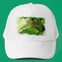 Piggyback Mantis ~ hat