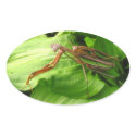 Piggyback Mantis ~ sticker