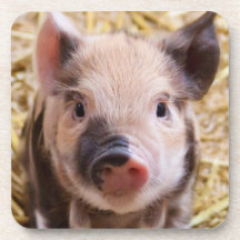 Piglet Beverage Coaster