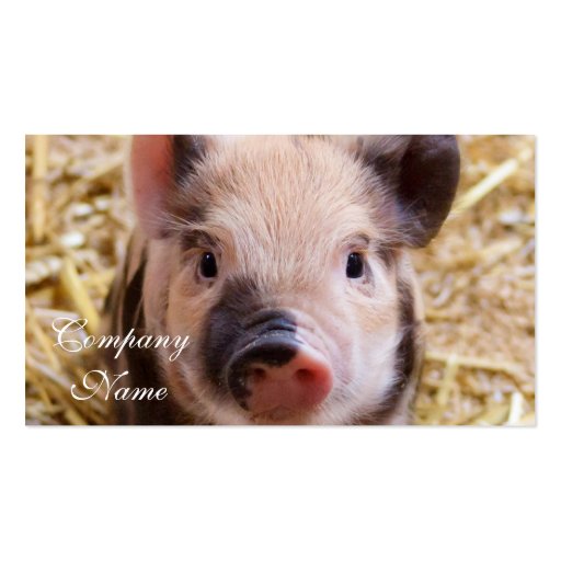 Piglet Business Card