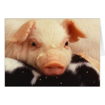 Piglet Greeting Card