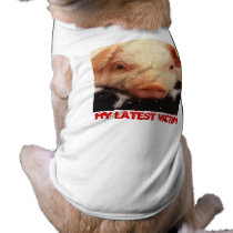 Piglet pet clothing by GPArkive Piglet pet clothing