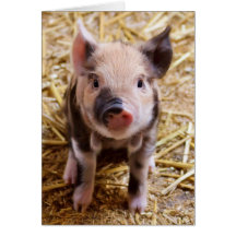 Piglet Greeting Card