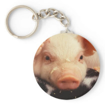 Piglet Keychains