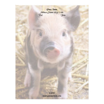 Piglet Letterhead