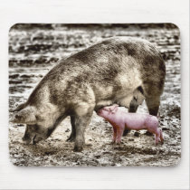Piglet mousepads