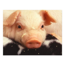 Piglet Personalized Invite