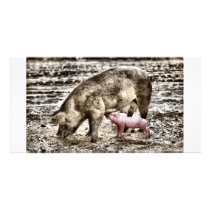 Piglet Custom Photo Card