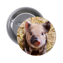 Piglet Pinback Button