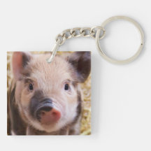 Piglet Square Acrylic Key Chains