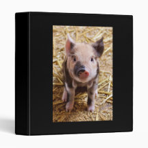 Piglet Vinyl Binders